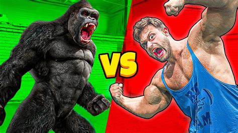 St Rkster Mann Der Welt Vs W Tender Gorilla Youtube