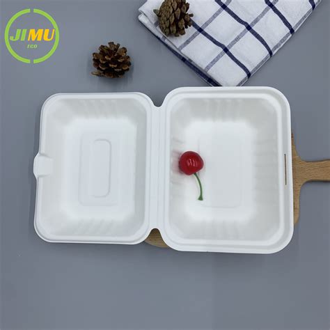 6 5 5 Inch Disposable Biodegradable Sugarcane Bagasse Tableware Healthy