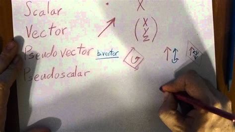 Scalars, Vectors, and Pseudo Vectors and Scalars - YouTube