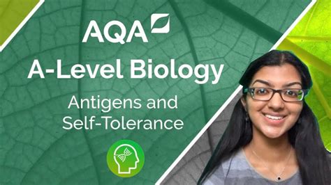 Aqa A Level Biology Antigens And Self Tolerance Youtube