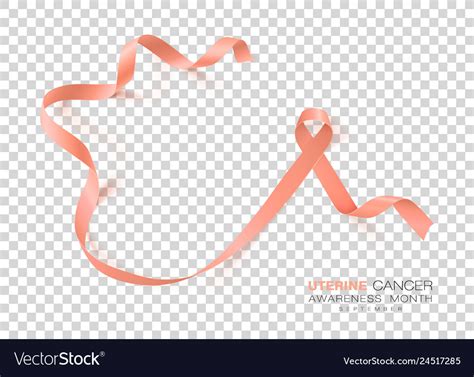 Uterine Cancer Awareness Month Peach Color Ribbon Vector Image