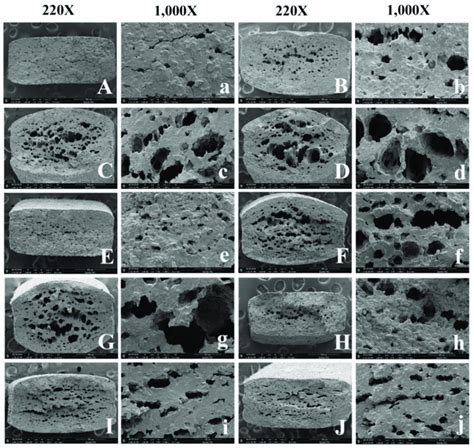 The Scanning Electron Microscope Photographs Of Dried Noodles Under