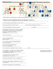 Pedigreeworksheet Doc Pedigree Worksheet Ii Iiiiv I Name Ii