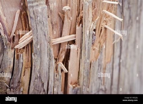 Splintered Wood Stock Photo Alamy