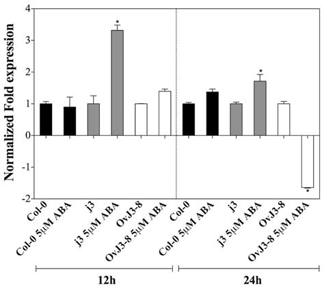 Abi3 Expression Levels On Arabidopsis Col 0 Atdja3 Null Mutant Line