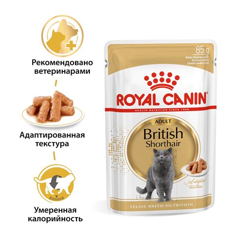Корм для кошек ROYAL CANIN Брит соус 85г купить по цене 90 ₽ с ...