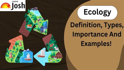 What is Ecology? - Types, Importance And Examples Of Ecology