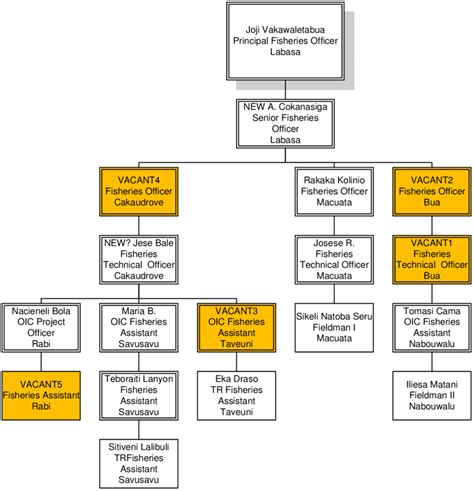 Approximate Depiction Of The Organizational Structure Proposed In