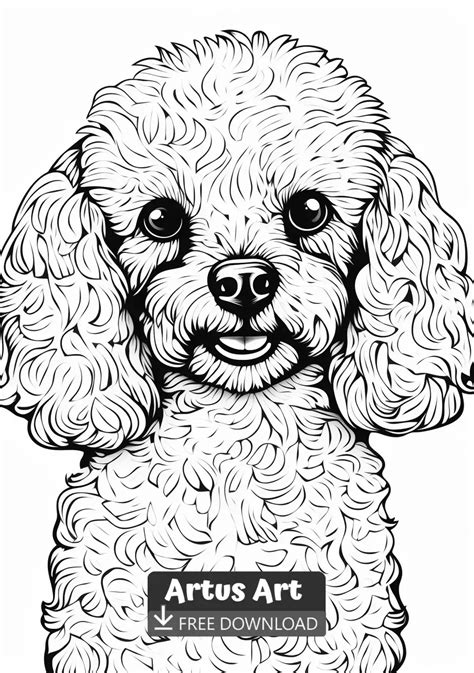 Cute Poodle Coloring Page For Kids - Free PDF Download