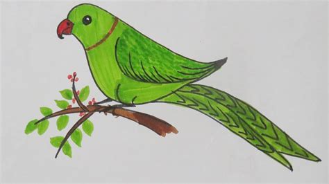 Parrot Easy Drawing at PaintingValley.com | Explore collection of ...