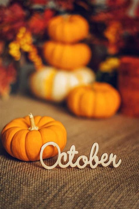 21 FUN Facts About October That Will Amaze You (2024 Facts)