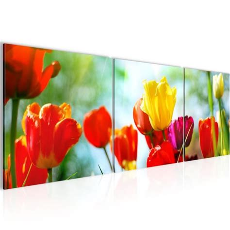 Runa Art Tableau D Coration Murale Fleurs Tulipes X Cm