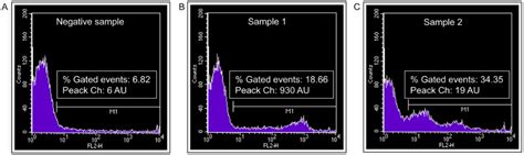 Ijms Free Full Text Ace2 Receptor And Its Isoform Short Ace2 Are