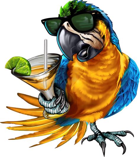 Drinking Parrot Decal, Full Color Parrot With Sunglasses Holding a ...