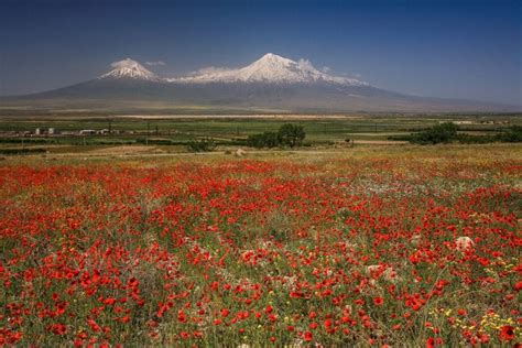 Армения. | Wonders of the world, Nature photos, Nature