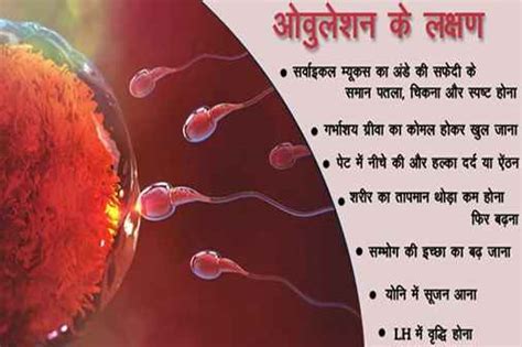 ओवुलेशन क्या है और ओवुलेशन कब होता है What Is Ovulation And When Does