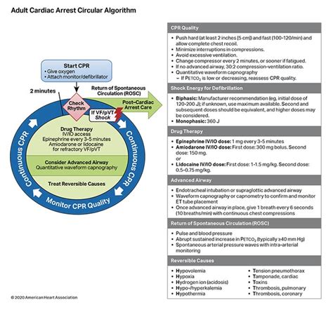 Part 3: Adult Basic and Advanced Life Support | American Heart ...