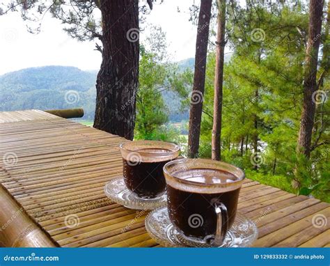 Coffe En Bosque Foto De Archivo Imagen De Recorrido