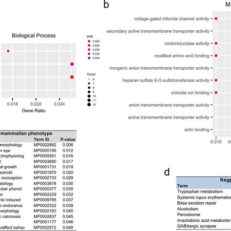 Pearsons Correlation Between Rna Seq And Rt Qpcr Data The Analysis