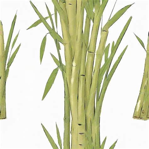 Bamboo shoots watercolor illustration sketch drawing style clipart ...