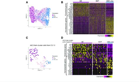 IPSC Derived Cells Match Primary Human EHT Populations IPSC Derived