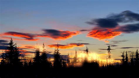 Wallpaper Sunlight Landscape Forest Sunset Nature Clouds