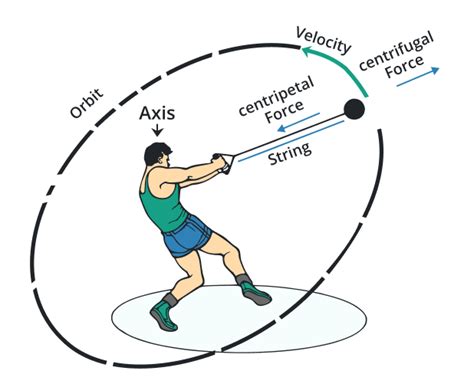 Centripetal Force Calculator