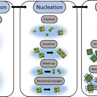 Schematic Illustration Of Possible Nucleation And Growth Mechanisms