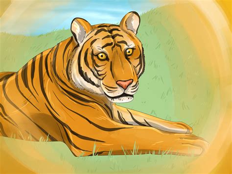 Tiger In Dream 12