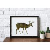 Michigan state animal | White-tailed Deer | wanderlust gifts and home decor