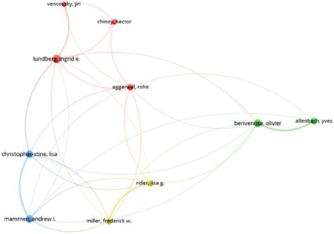 Network Visualization Of Authors Of Articles On Iim Clusters Were