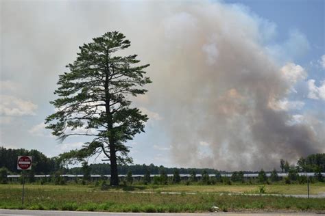 Nj Forest Fire Service Plans Prescribed Burns For Thousands Of Acres In State Forests Follow