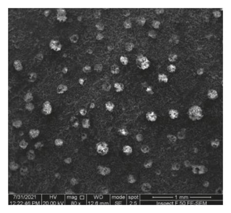 Sem Micrographs Of A Bare Bioepoxy B Bioepoxy Wt Al O Agnps