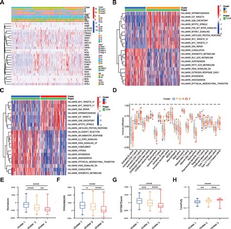 Tme Cell Infiltration And Biological Characteristics Of Three Clusters