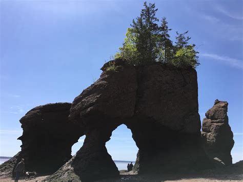 The Bay of Fundy has the highest tides in the world. If the 🌎🌙🌞 are in