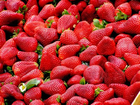 Free Images Plant Fruit Food Red Produce Strawberry