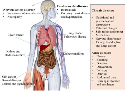 Global Scale Arsenic Pollution Increase The Scientific Knowledge To