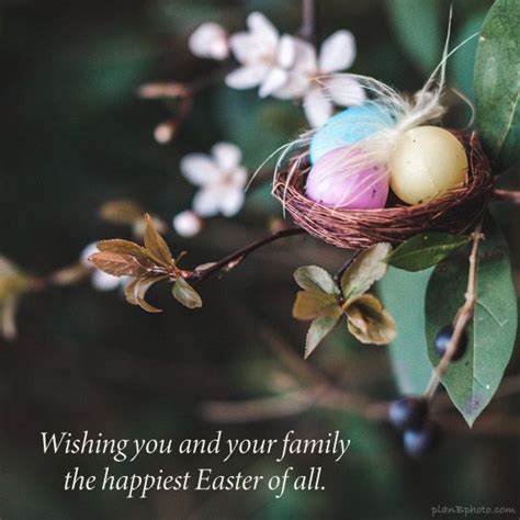 Happy Easter greetings | Happy easter greetings, Happy easter messages ...