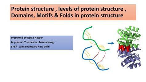 levels  protein structure domains motifs folds  protein