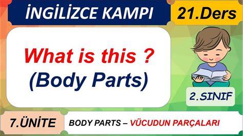 S N F Ngilizce Ders What Is This Body Parts Youtube