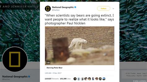 Starving polar bear video goes viral – DW – 12/10/2017