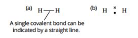 Ch Covalent Bonding Flashcards Quizlet