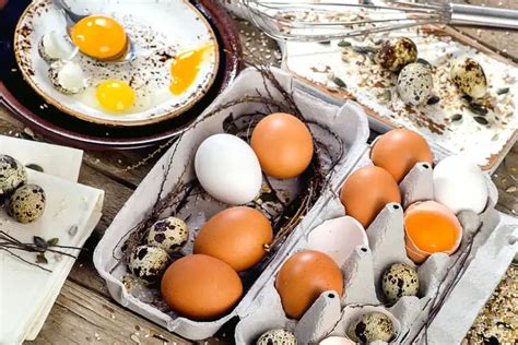 Huevos De Codorniz Vs Huevos De Gallina Cu L Es El Mejor Solococinar