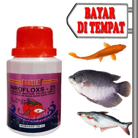 Jual Obat Luka Anti Bakteri Ikan Sakit Antibiotik Inrofloxs Shopee