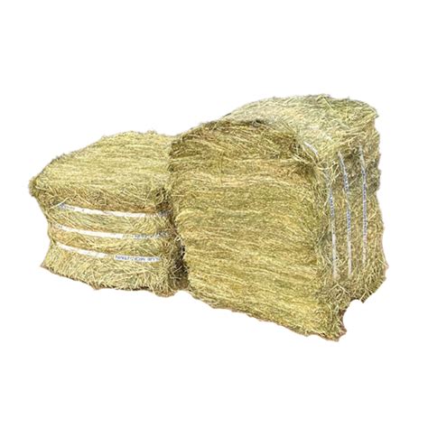 Departments Blue Mountain Teff Hay Compressed Bale 55 Lb