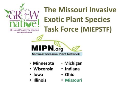 Ppt Missouri’s Invasion Powerpoint Presentation Free Download Id 9287563