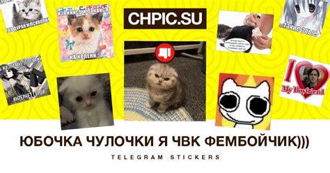 юбочка чулочки я чвк фембойчик))) Telegram stickers
