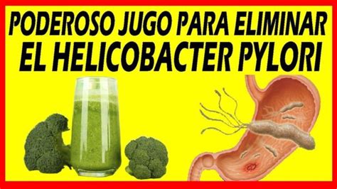 COMO ELIMINAR LA BACTERIA HELICOBACTER PILORY CAUSANTE DE ÙLCERAS