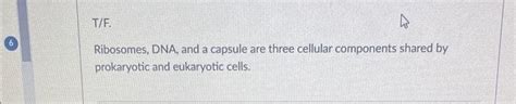 Solved Ribosomes Dna And A Capsule Are Three Cellular Chegg