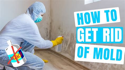 How To Get Rid Of Mold Don T Use Bleach Youtube